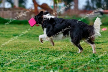 IMG_4628.jpg