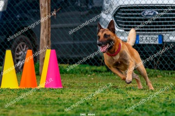 IMG_4664.jpg