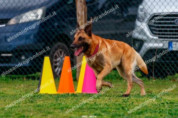 IMG_4674.jpg