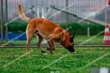 IMG_4725.jpg
