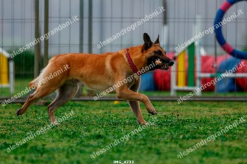 IMG_4733.jpg