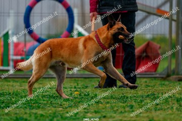 IMG_4743.jpg