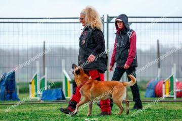 IMG_4751.jpg