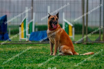 IMG_4758.jpg