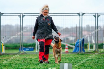 IMG_4768.jpg