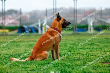 IMG_4838.jpg