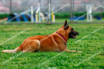 IMG_4850.jpg