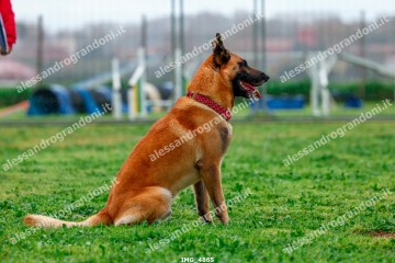 IMG_4865.jpg