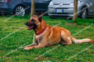 IMG_4873.jpg