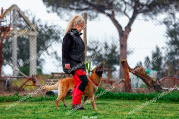 IMG_4959.jpg