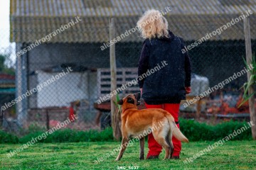 IMG_5037.jpg