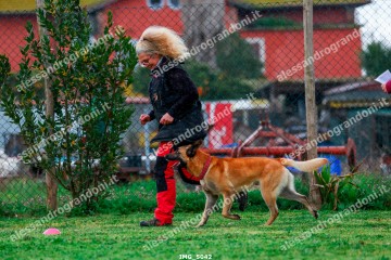 IMG_5042.jpg
