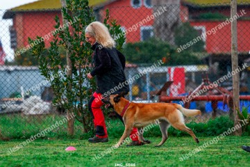 IMG_5048.jpg