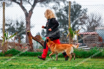 IMG_5056.jpg