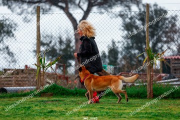 IMG_5062.jpg