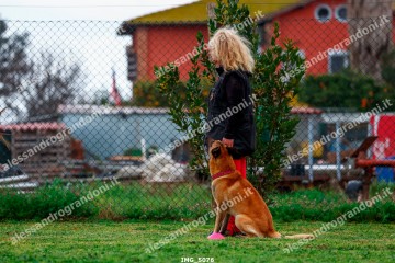 IMG_5076.jpg
