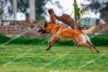 IMG_5096.jpg