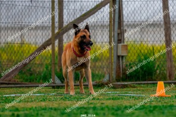 IMG_5114.jpg