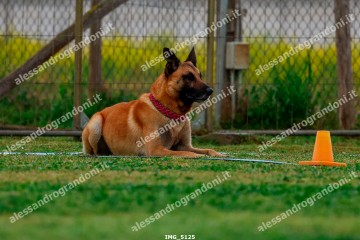 IMG_5125.jpg