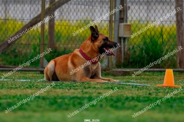 IMG_5131.jpg