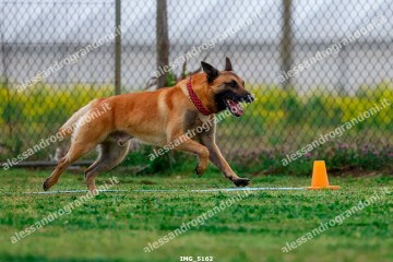 IMG_5162.jpg