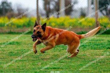 IMG_5188.jpg