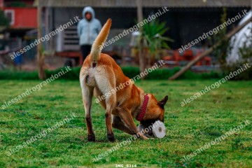 IMG_5214.jpg