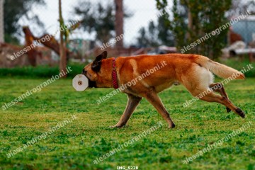 IMG_5228.jpg