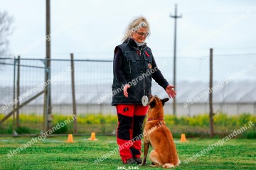 IMG_5245.jpg