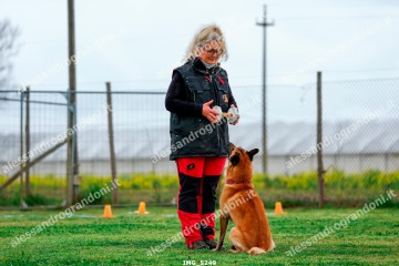 IMG_5249.jpg
