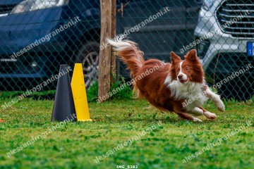 IMG_5282.jpg