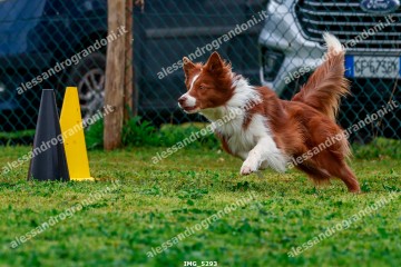 IMG_5293.jpg