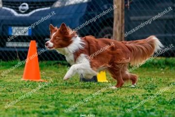 IMG_5302.jpg