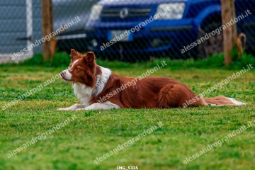IMG_5335.jpg