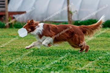 IMG_5347.jpg
