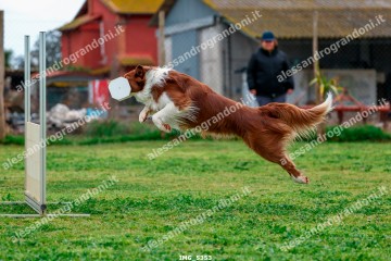 IMG_5353.jpg