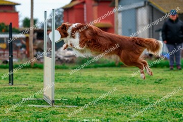 IMG_5355.jpg