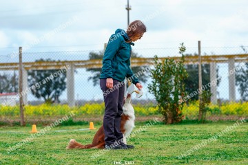 IMG_5387.jpg