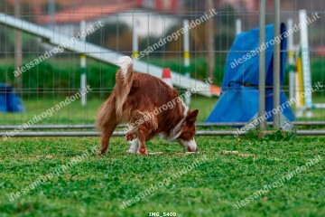 IMG_5400.jpg
