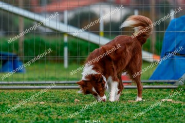 IMG_5407.jpg