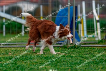 IMG_5410.jpg