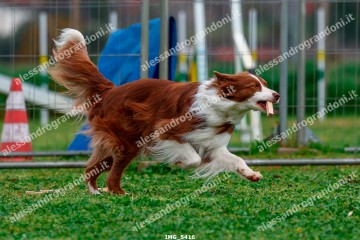 IMG_5416.jpg