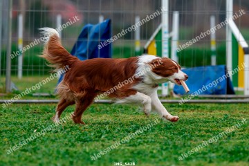 IMG_5428.jpg
