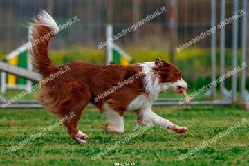 IMG_5436.jpg