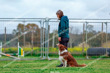 IMG_5443.jpg