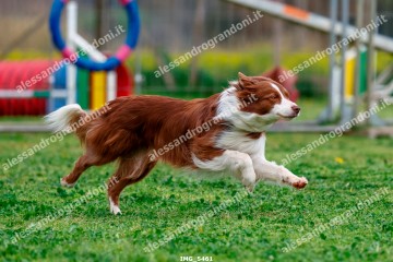 IMG_5461.jpg