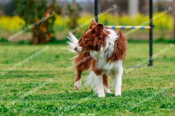 IMG_5483.jpg