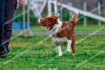 IMG_5569.jpg