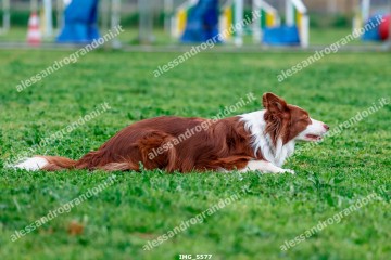 IMG_5577.jpg