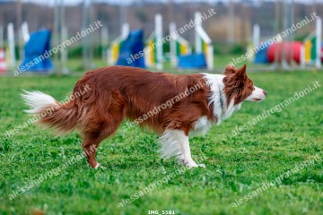 IMG_5581.jpg